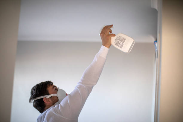  Wheeler, TX Mold Removal Pros