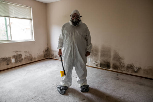 Home Mold Removal in Wheeler, TX